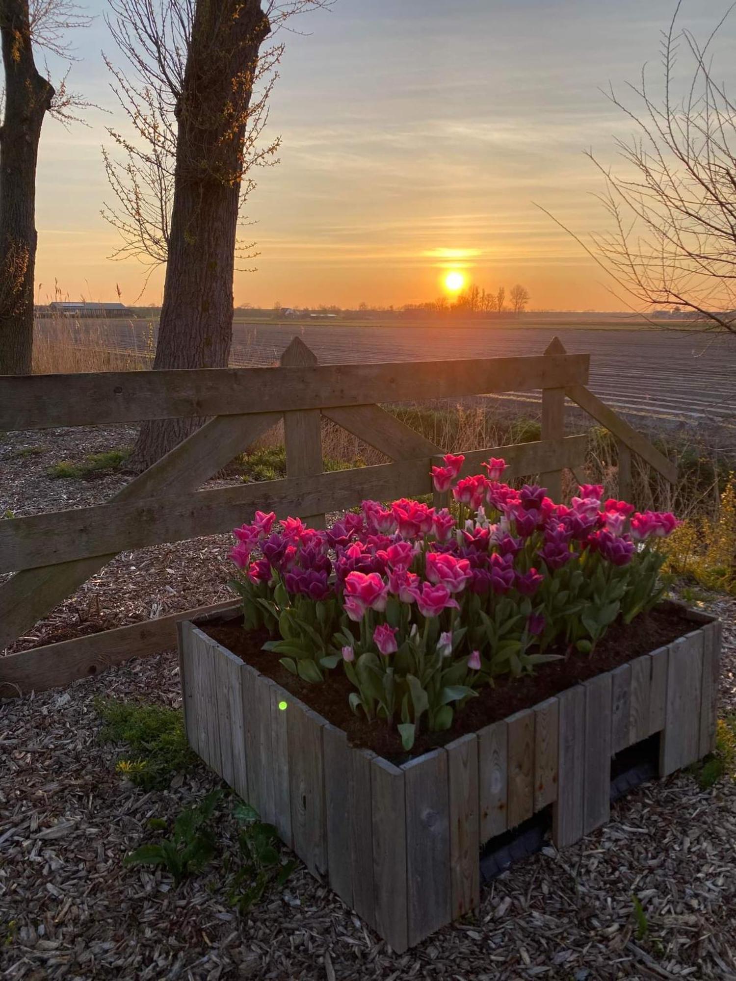 Camping De Tulpenweide Lege Kampeerplaats, Lege Plaats Op Het Gras Zonder Bed Breezand Exterior photo