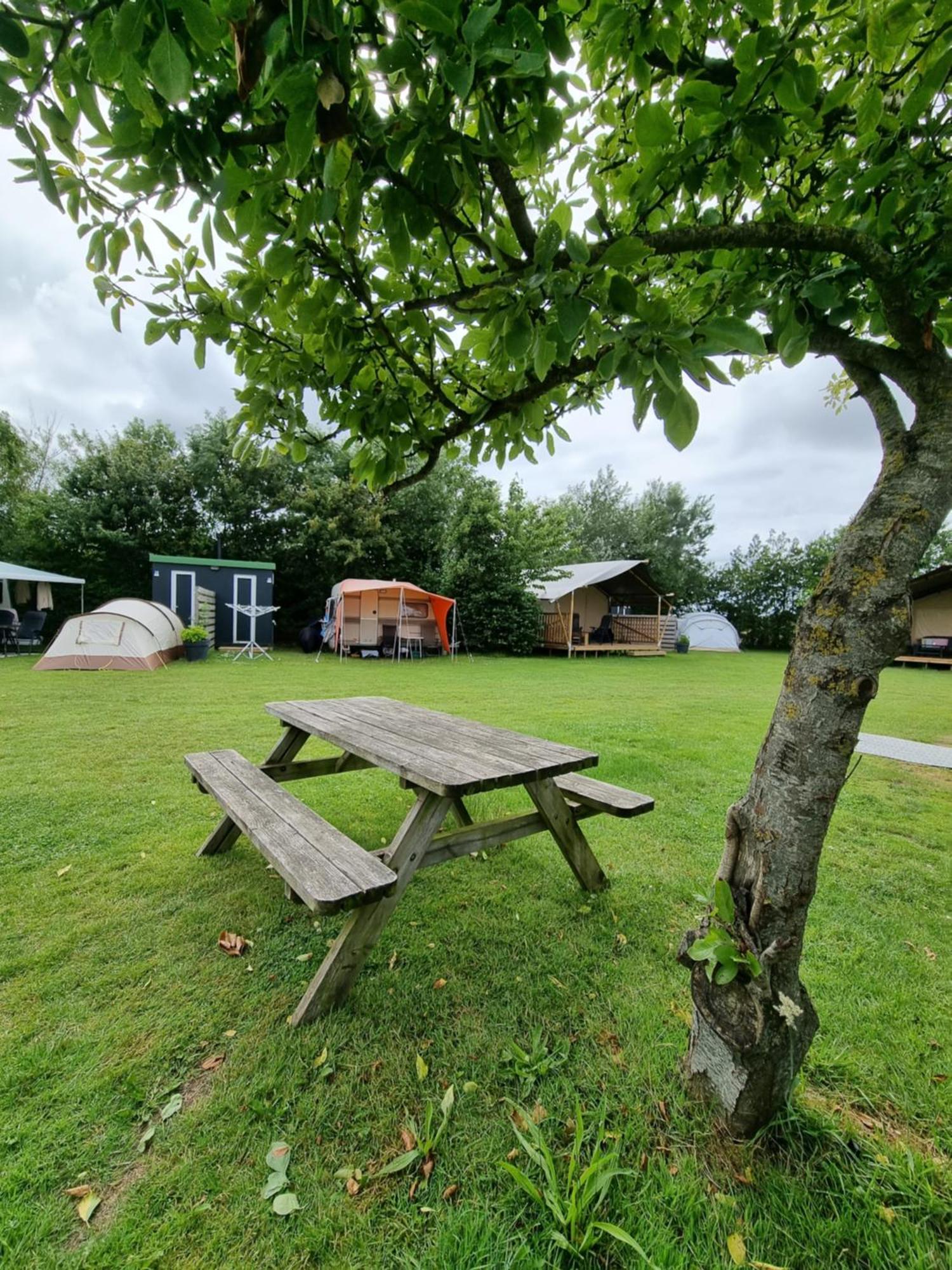 Camping De Tulpenweide Lege Kampeerplaats, Lege Plaats Op Het Gras Zonder Bed Breezand Exterior photo