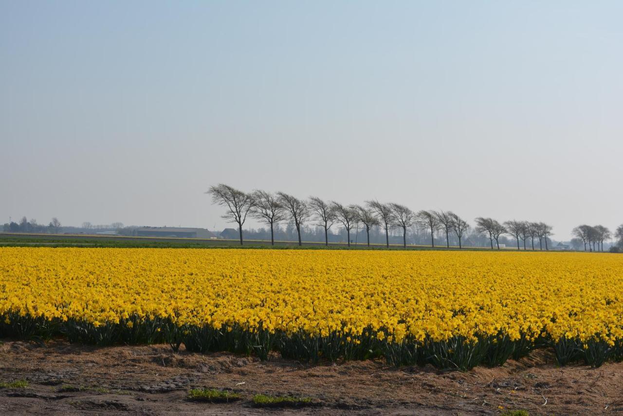 Camping De Tulpenweide Lege Kampeerplaats, Lege Plaats Op Het Gras Zonder Bed Breezand Exterior photo