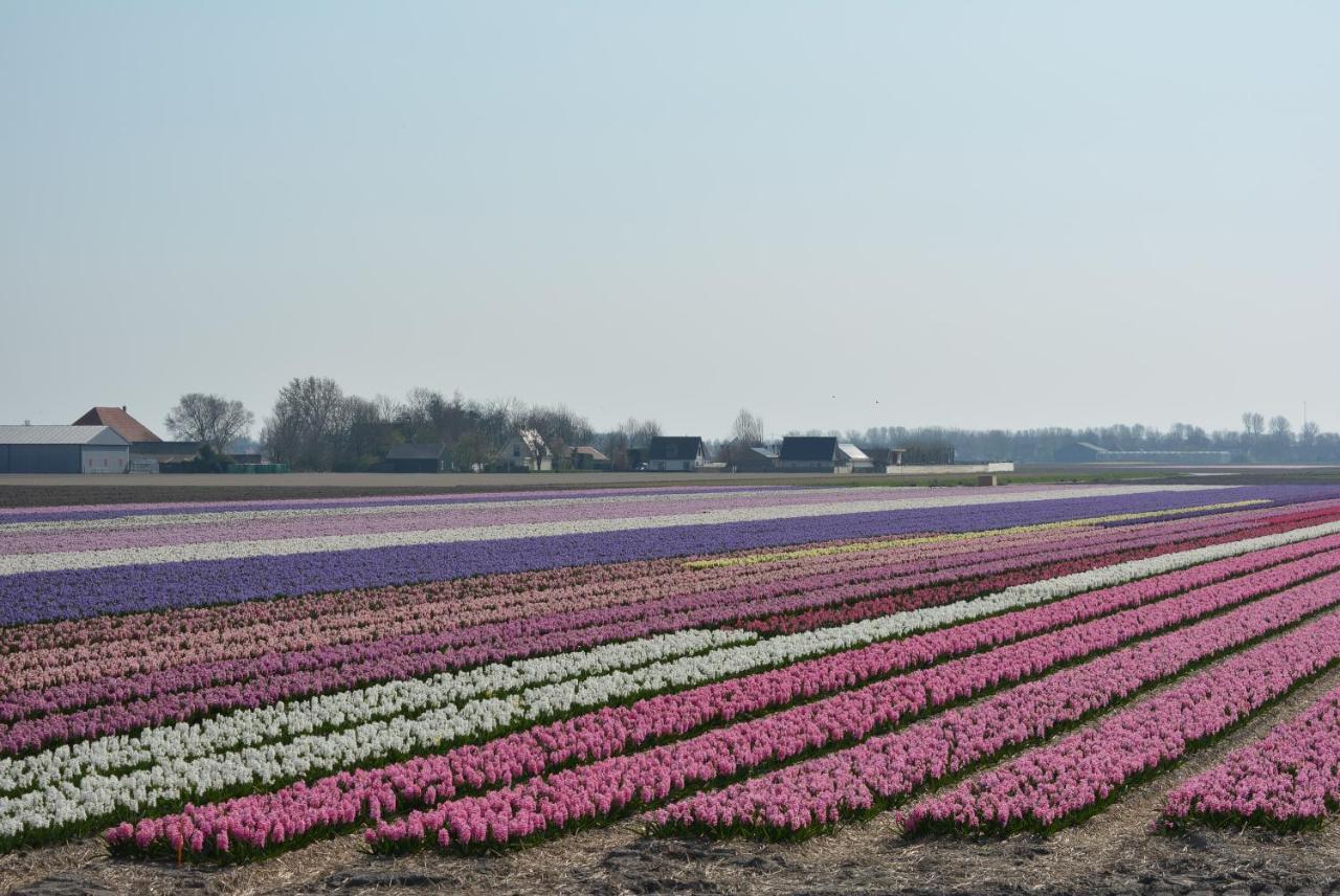 Camping De Tulpenweide Lege Kampeerplaats, Lege Plaats Op Het Gras Zonder Bed Breezand Exterior photo