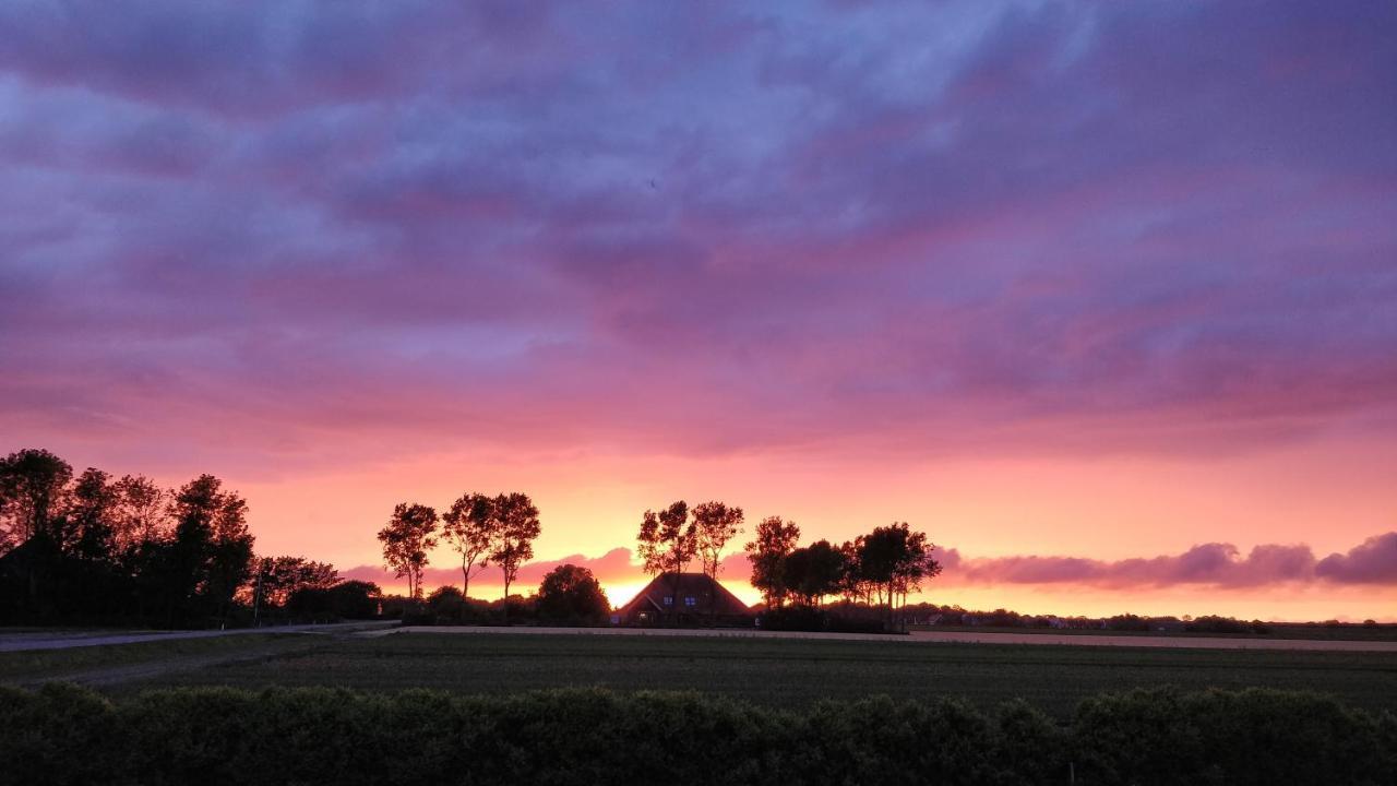 Camping De Tulpenweide Lege Kampeerplaats, Lege Plaats Op Het Gras Zonder Bed Breezand Exterior photo